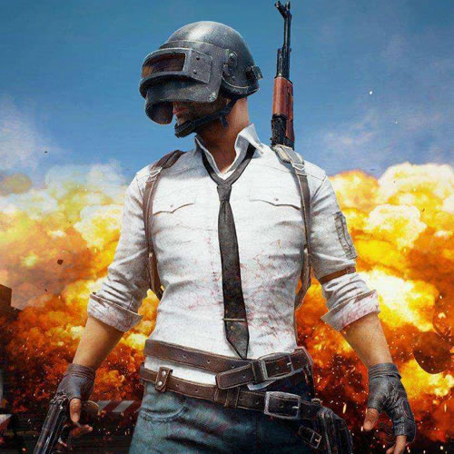 很有建树 很有建树