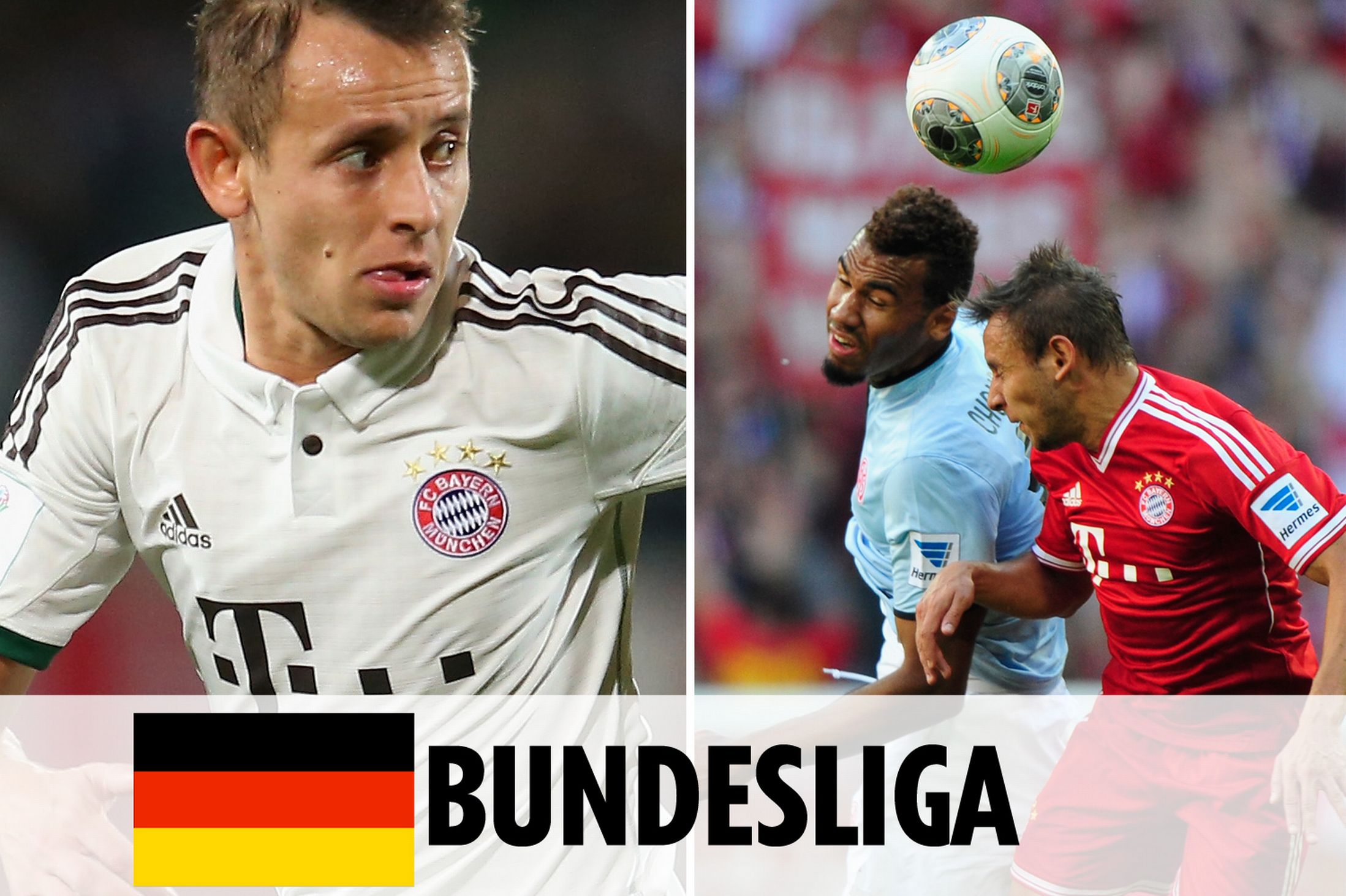 种人球结合 种人球结合