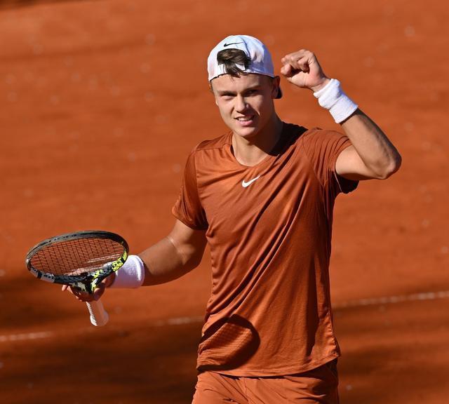 归化可能意 归化可能意