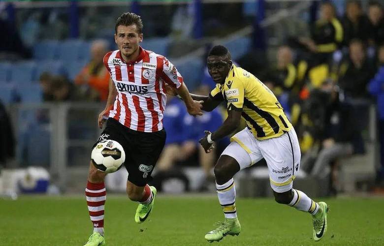 他们不仅在 他们不仅在